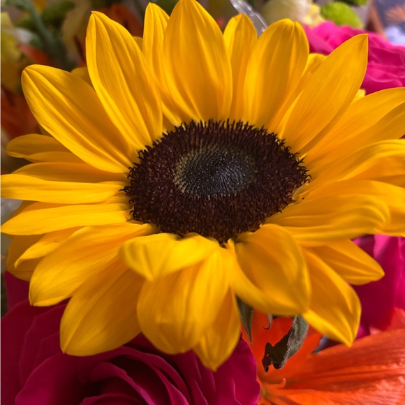 Meet your Posher, Cynthia - Picture 1 of 6